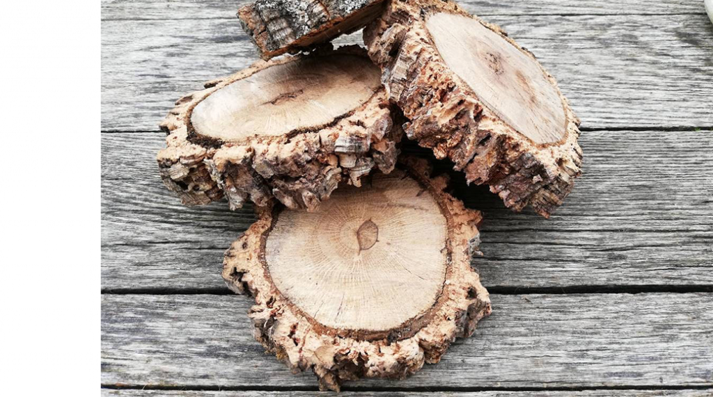 cork4us Quality Cork Disks